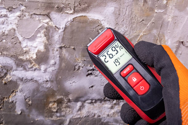 Best Crawl Space Mold Removal  in Orange Grove, TX